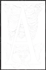 Globalboho AOLAB Agenda