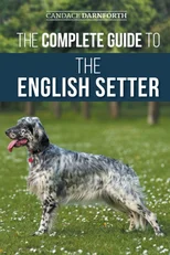 The Complete Guide to the English Setter