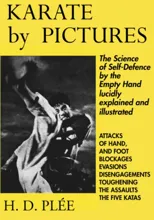 Karate by Pictures