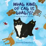 What Kind of Cat is That?!?