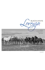 Lorenzo Black & White