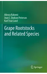 Grape Rootstocks and Related Species