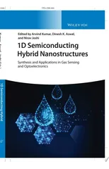 1D Semiconducting Hybrid Nanostructures