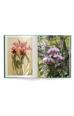 Orchids