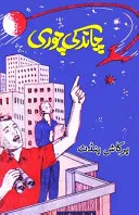 Chaand ki chori (kids novel)