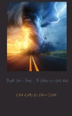 Thoughts From a Tornado - The Writings of a Chaotic Mind.