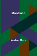 Raphael; Or, Pages of the Book of Life at Twenty