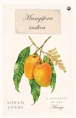 Mangifera indica