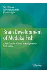 Brain Development of Medaka Fish