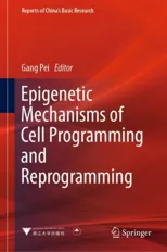 Epigenetic Mechanisms of Cell Programming and Reprogramming (2023)