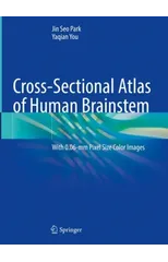 Cross-Sectional Atlas of Human Brainstem