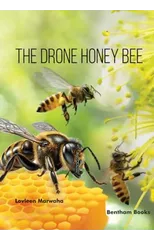 The Drone Honey Bee