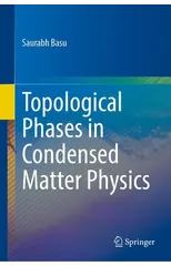 Topological Phases in Condensed Matter Physics