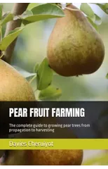 Pear Fruit Farming