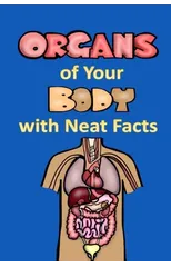 Organs of Your Body with Neat Facts