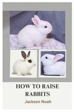 How to Raise Rabbits