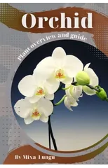 Orchid