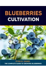 Blueberries Cultivation