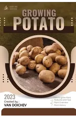 Potato