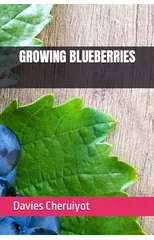 Growing Blueberries