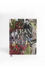 Frankenstein Art Novel