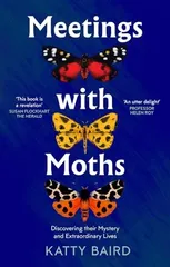 Meetings with Moths