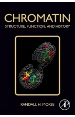 Chromatin
