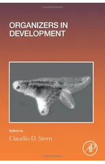 Organizers in Development