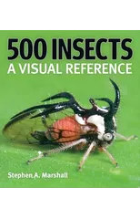 500 Insects