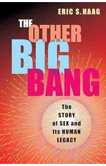 The Other Big Bang