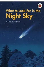 What to Look For in the Night Sky