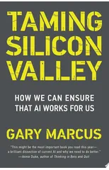 Taming Silicon Valley