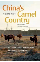 China's Camel Country