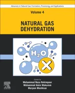 Advances in Natural Gas