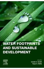 Water Footprints and Sustainable Development