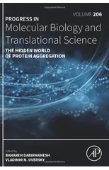 The Hidden World of Protein Aggregation
