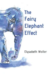 The Fairy Elephant Effect
