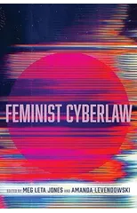 Feminist Cyberlaw