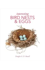Interesting Bird Nests and Eggs