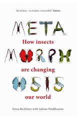 Metamorphosis