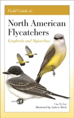 Field Guide to North American Flycatchers
