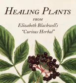 Healing Plants