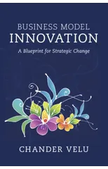 Business Model Innovation