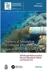 Numerical Simulation of Effluent Discharges