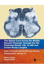 The Spinal Cord during the Middle Second Trimester through the 4th Postnatal Month 130- to 440-mm Crown-Rump Lengths