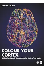 Colour Your Cortex