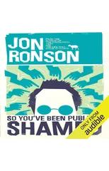 So You've Been Publicly Shamed
