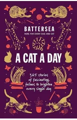 Battersea Dogs and Cats Home - A Cat a Day