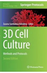 3D Cell Culture