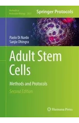 Adult Stem Cells
